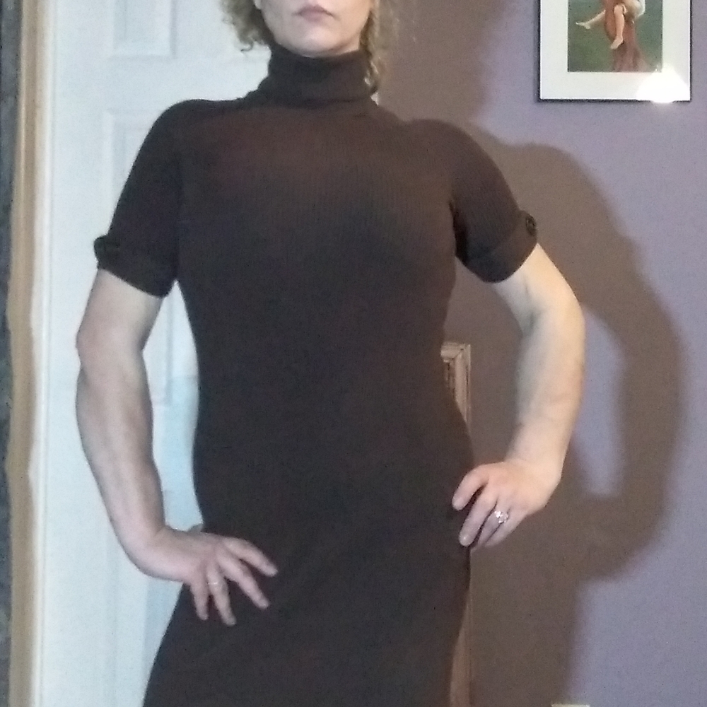 Express, chocolate high neck dress
